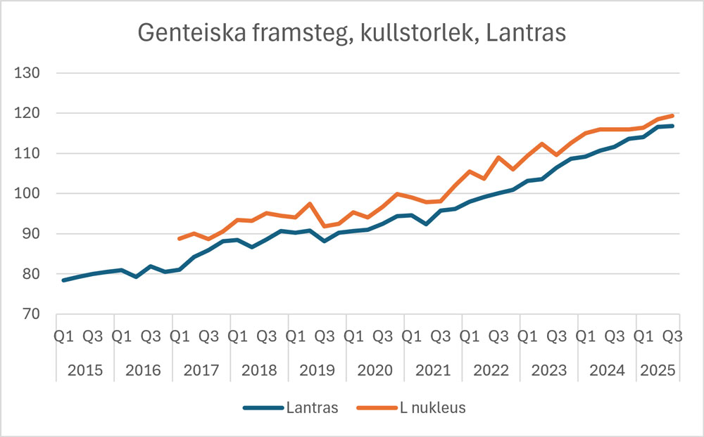 MA Lantras kullstorlek MA Lantras kullstorlek