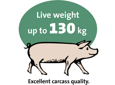Live Weight Live Weight