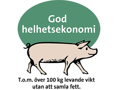 God helhetsekonomi God helhetsekonomi