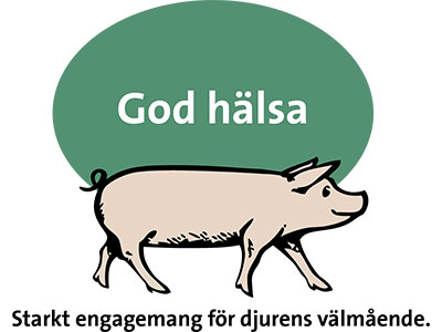 God hälsa God hälsa