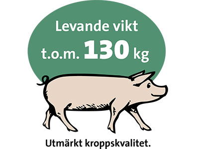 Levande vikt 130 kg Levande vikt 130 kg