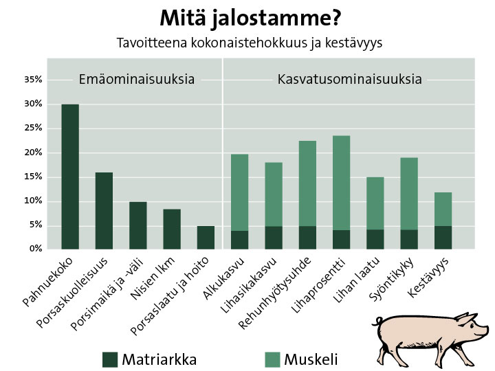 Mitä jalostamme - ominaisuuksia