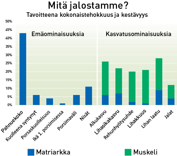 Mitä jalostamme - ominaisuuksia