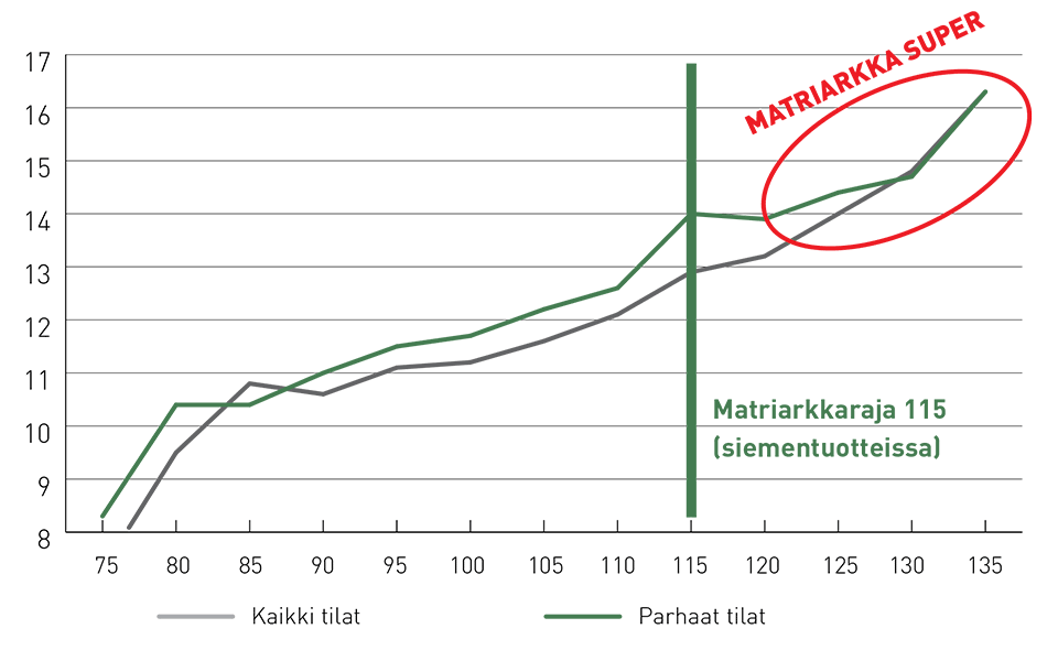 Matriarkka