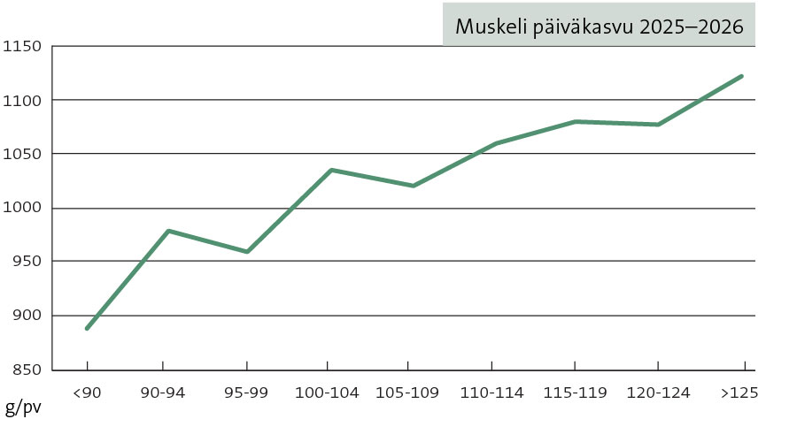 Muskeli päiväkasvu
