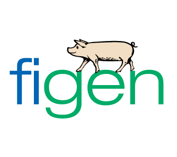 Figen Logotype